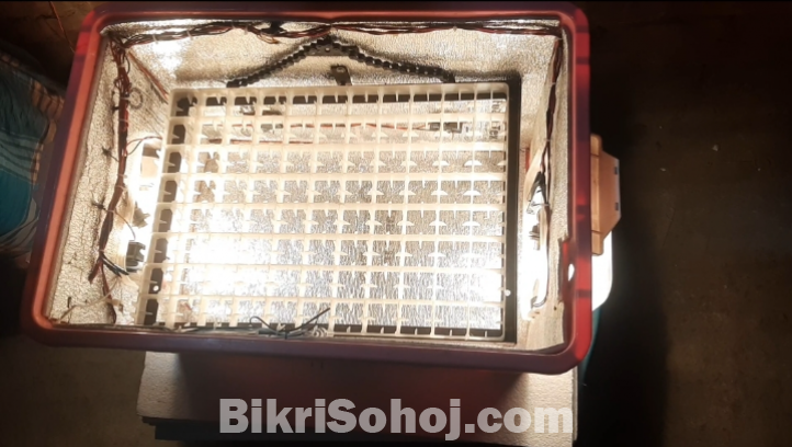 অটোমেটিক ইনকিউবেটর